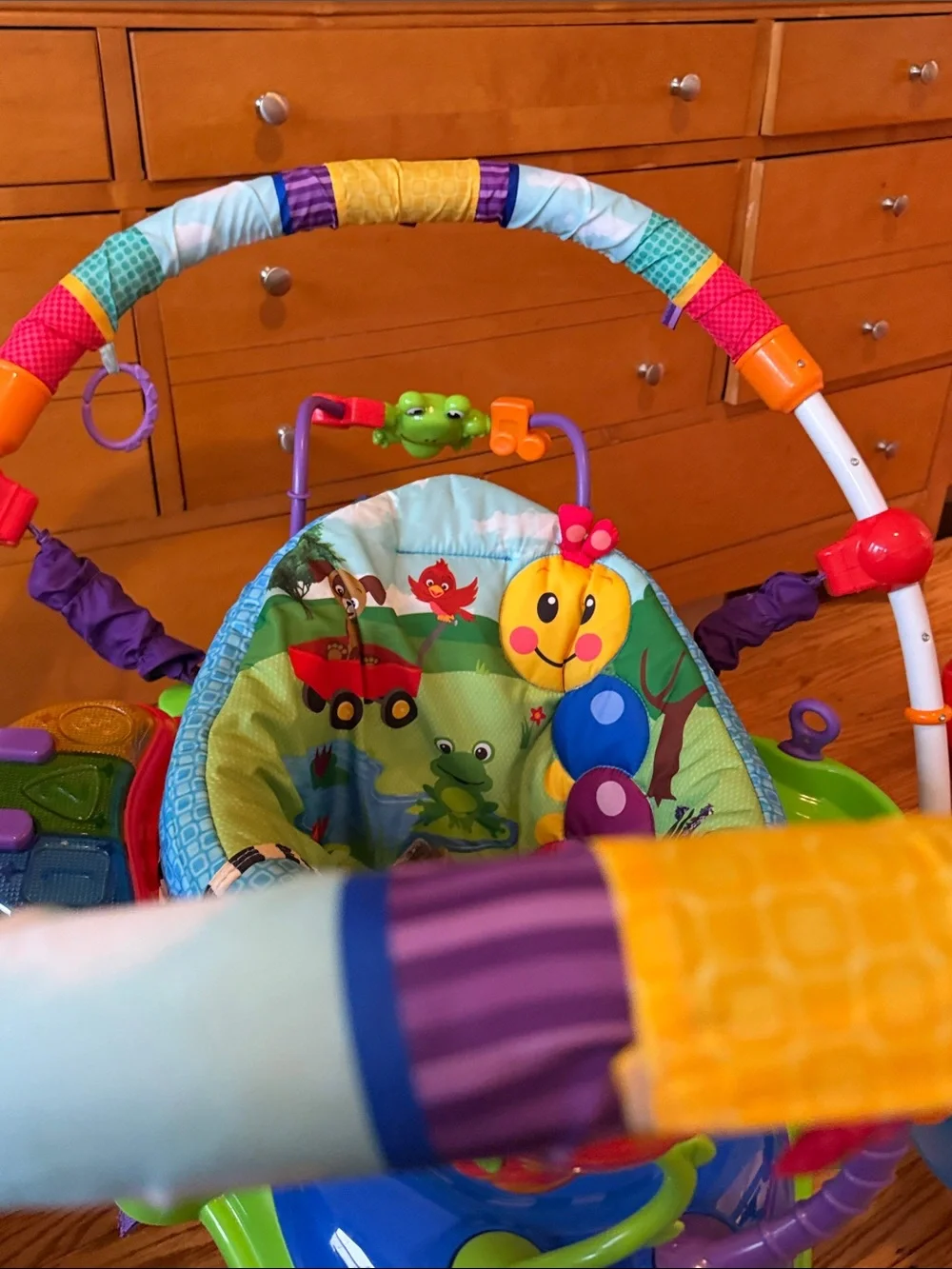 Baby Einstein multicolor infant